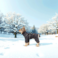 Paw Élégance – Waterproof Reflective Dog Jacket with Harness