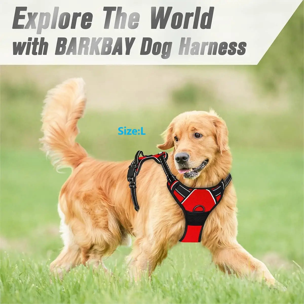 Paw Élégance – No-Pull Reflective Control Harness for Large Dogs