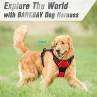 Paw Élégance – No-Pull Reflective Control Harness for Large Dogs