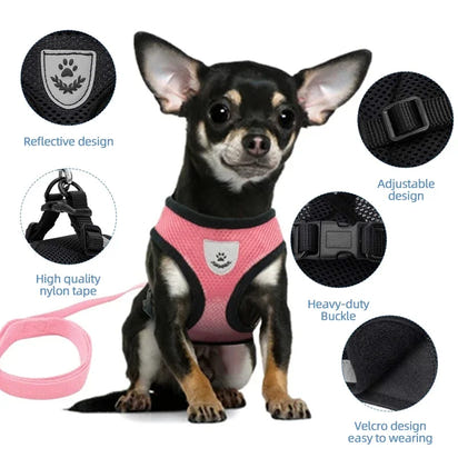Paw Élégance – Adjustable Reflective Mesh Harness with Leash