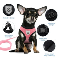 Paw Élégance – Adjustable Reflective Mesh Harness with Leash