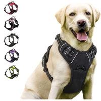 Paw Élégance – No-Pull Reflective Control Harness for Large Dogs