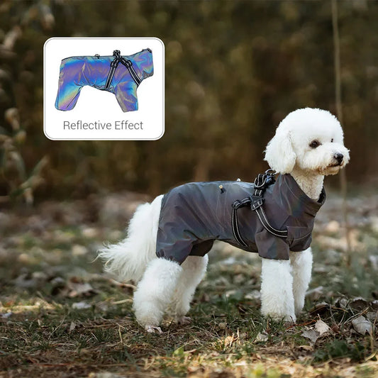 Paw Élégance – Waterproof Reflective Dog Jacket with Harness