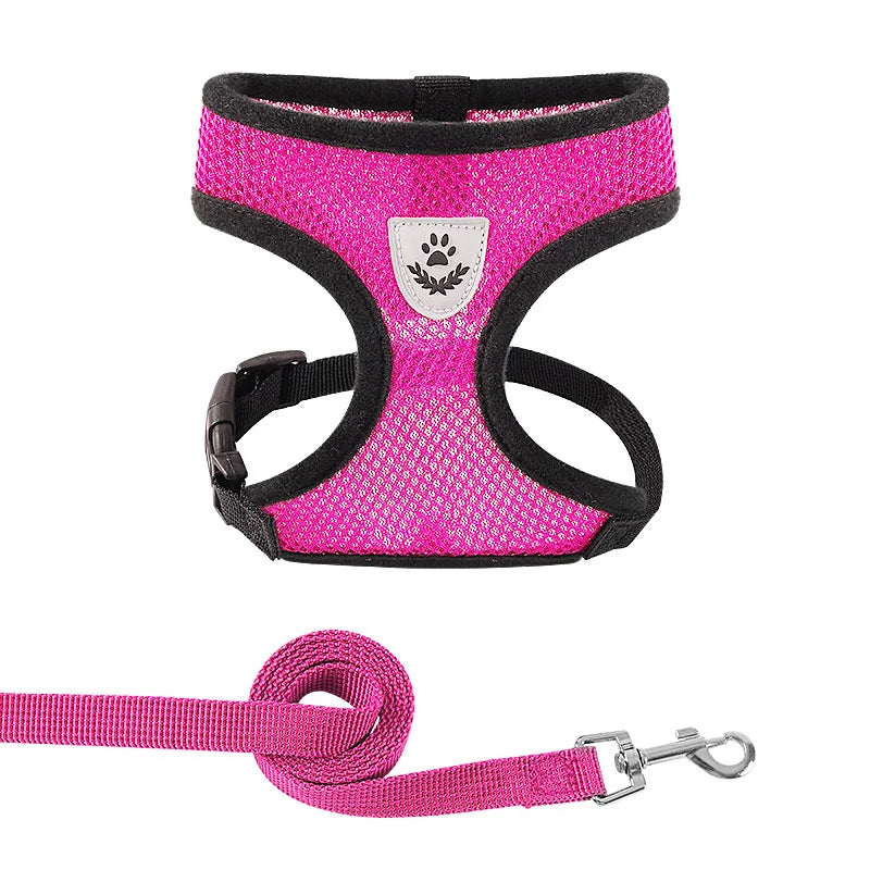 Paw Élégance – Adjustable Reflective Mesh Harness with Leash