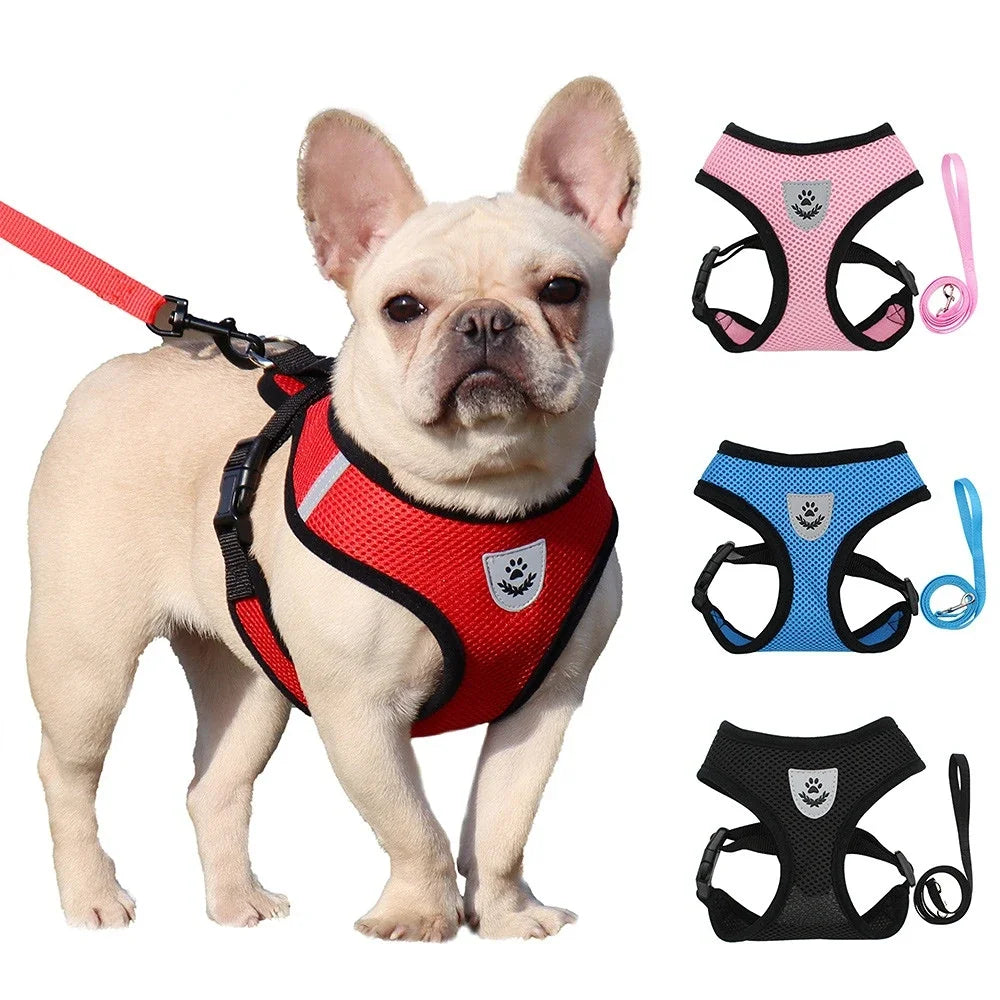 Paw Élégance – Adjustable Reflective Mesh Harness with Leash