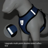 Paw Élégance – Adjustable Reflective Mesh Harness with Leash