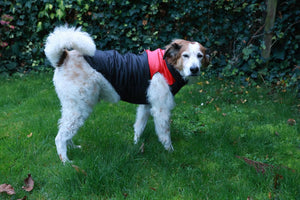 Paw Élégance™ Winter Comfort Vest – Waterproof, Warm & Stylish Protection
