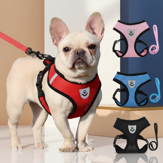Paw Élégance – Adjustable Reflective Mesh Harness with Leash