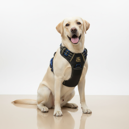 Paw Élégance – No-Pull Reflective Control Harness for Large Dogs