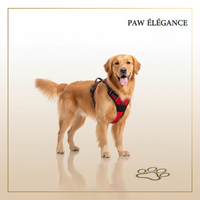 Paw Élégance – No-Pull Reflective Control Harness for Large Dogs