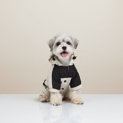 Paw Élégance – Waterproof Reflective Winter Coat with Hood